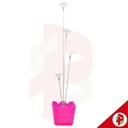 [77656] SUP BALAO ACRIL COM DIV 4HT PINK