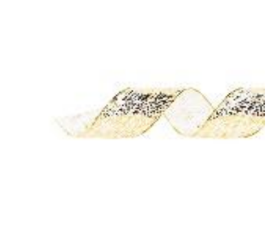 [45996] FITA 6,3CMX914CM NATAL VOAL PINCELADA OURO