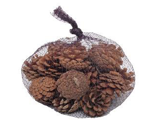 [1016965] SAQUINHO C/PINHAS MRR 200g (PINHAS NAT TRONCO) C/1 UN
