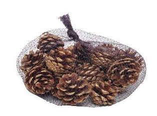 [1016966] SAQUINHO C/PINHAS OUR/MRR 200g (PINHAS NAT TRONCO) C/1 UN