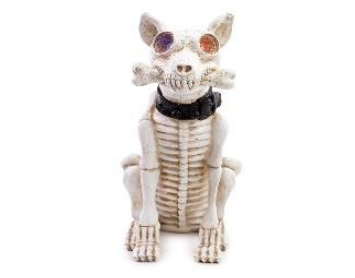 [29005058] CACHORRO DECORATIVO ESQUELETO C/1 UN